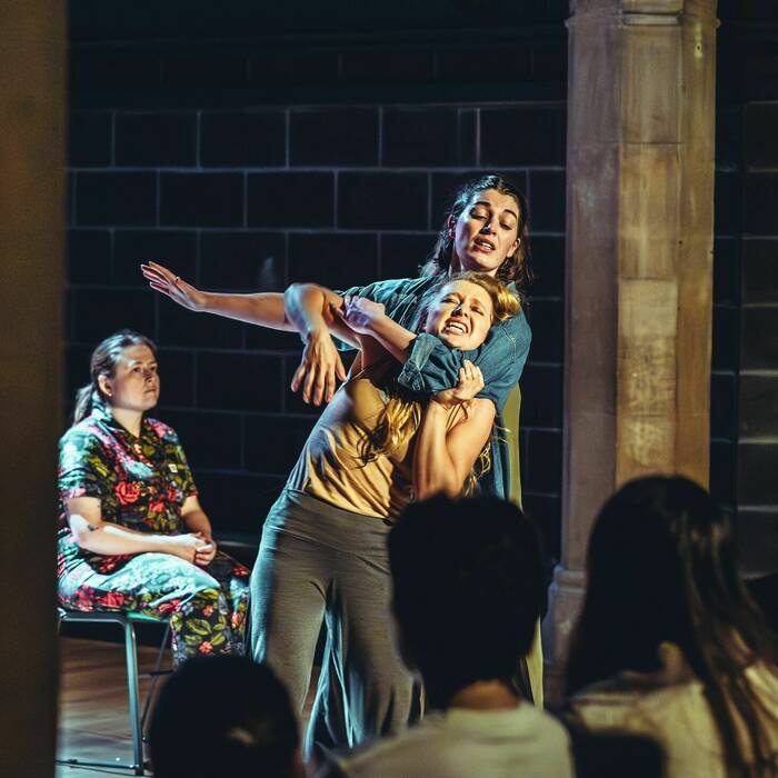 Theatr Unnos2025 10